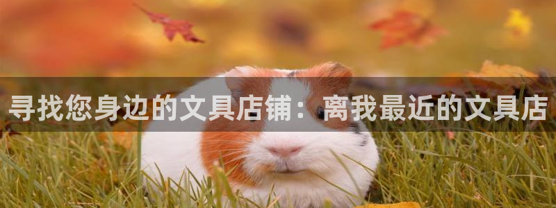 登录九游会：寻找您身边的文具店铺：离我最