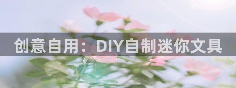 ag九游会登录大厅：创意自用：DIY自制