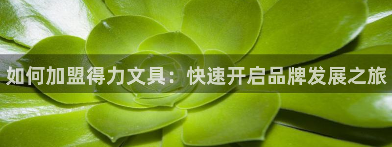 九游会只为非凡：如何加盟得力文具：快速开