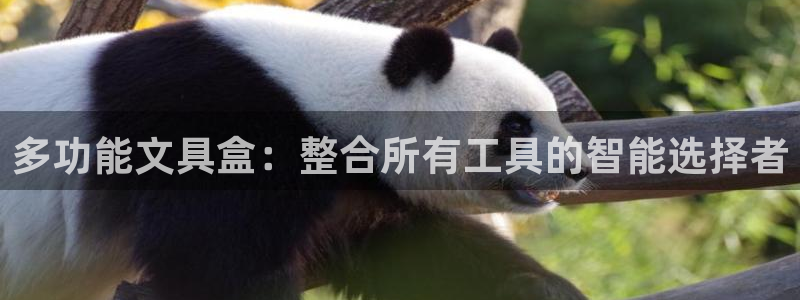 中国九游会：多功能文具盒：整合所有工具的