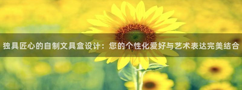 ag九游会vip：独具匠心的自制文具盒设