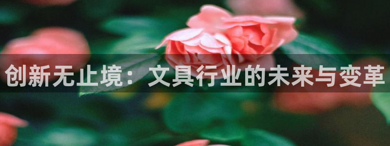 九游会注册：创新无止境：文具行业的未来与