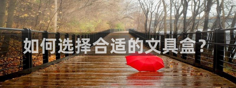 九游会苹果下载：如何选择合适的文具盒？