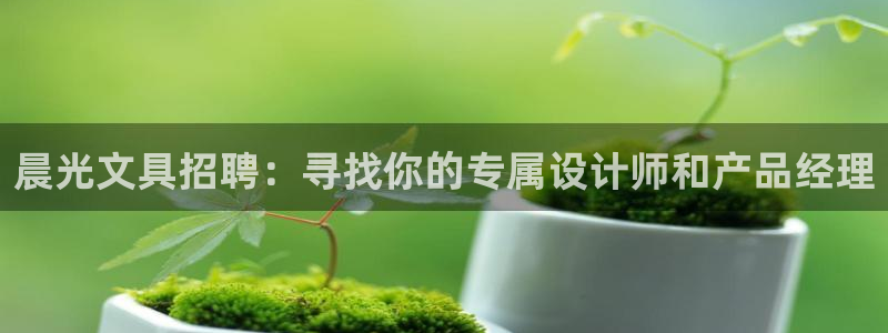 j9九游会官网ag登录：晨光文具招聘：寻