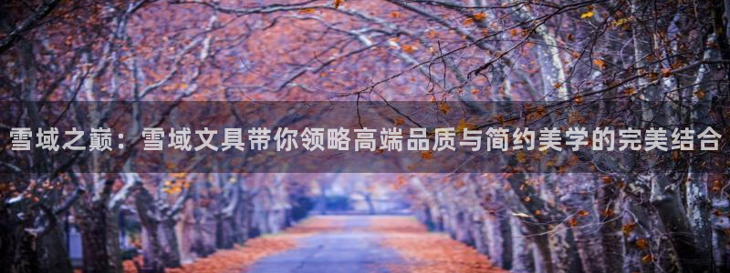 九游会官网登录首页入口：雪域之巅：雪域文