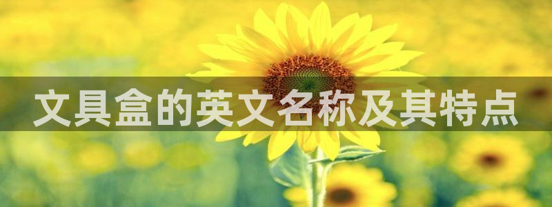 九游会网页版登录：文具盒的英文名称及其特