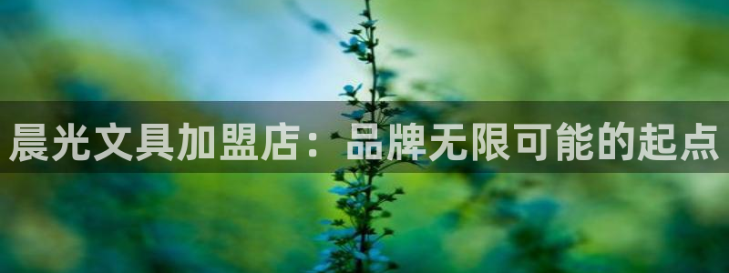 凯时和九游会：晨光文具加盟店：品牌无限可