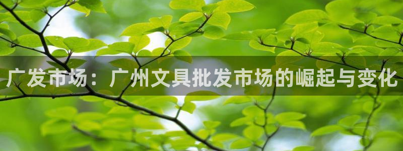 九游会体育客户端：广发市场：广州文具批发