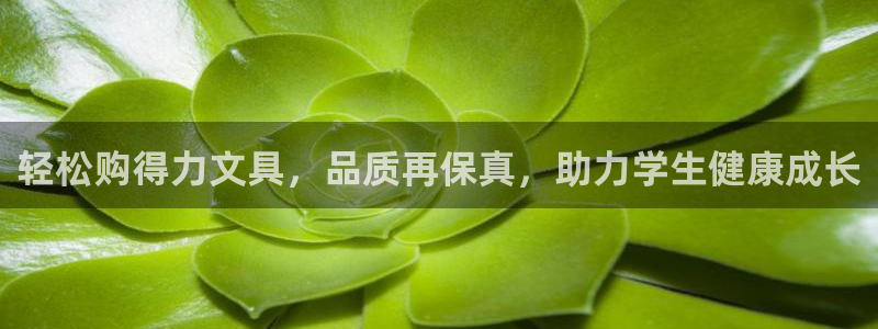 ag8九游会：轻松购得力文具，品质再保真