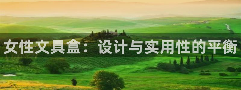 九游会棋牌牌：女性文具盒：设计与实用性的