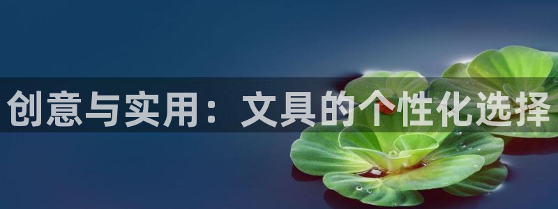 九游会直营厅网站：创意与实用：文具的个性