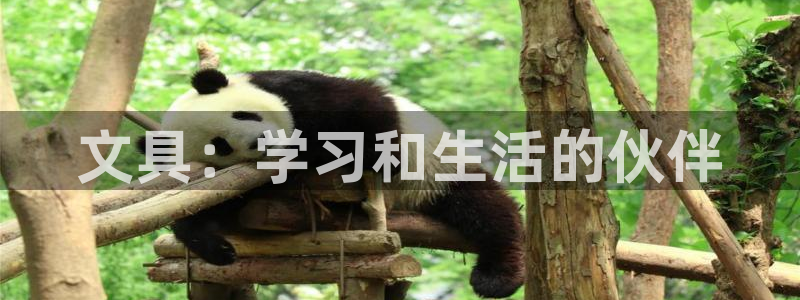 九游会官方链接：文具：学习和生活的伙伴