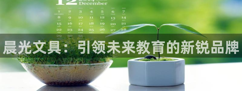 园游会小九：晨光文具：引领未来教育的新锐