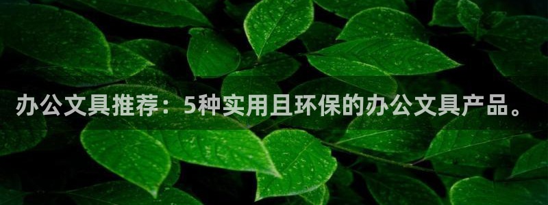 九游会产品介绍：办公文具推荐：5种实用且