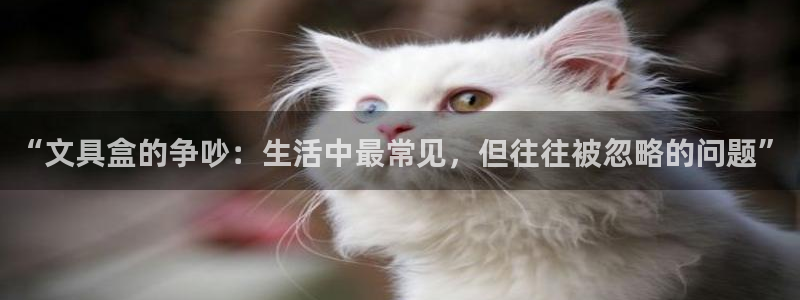 九游系统为什么会繁忙：“文具盒的争吵：生