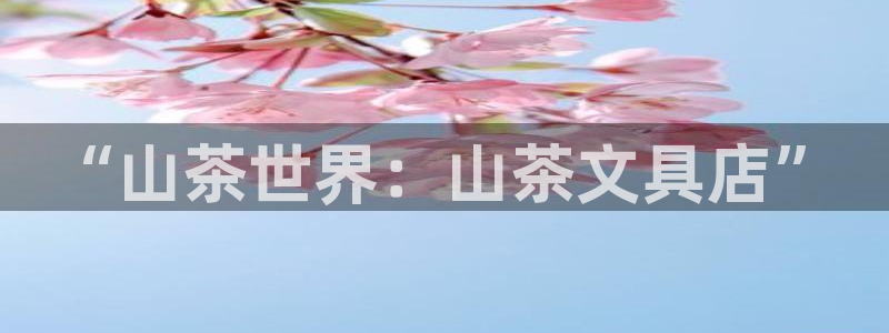 九游会网页中心：“山茶世界：山茶文具店”