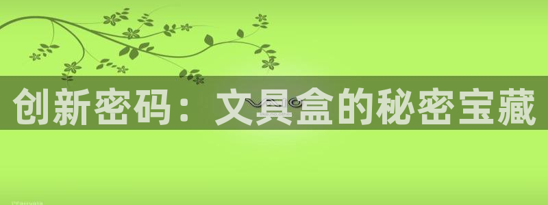 九游老哥会：创新密码：文具盒的秘密宝藏