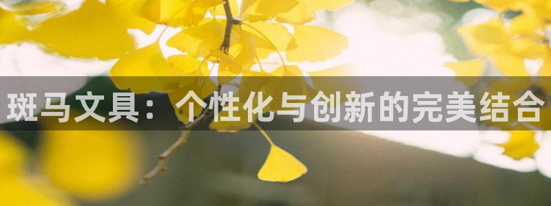 九游会vip入口：斑马文具：个性化与创新