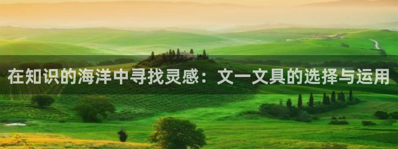 九游会数字站平台：在知识的海洋中寻找灵感