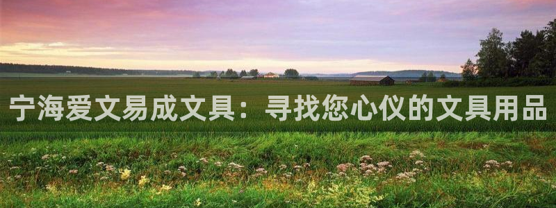 九游会网站：宁海爱文易成文具：寻找您心仪