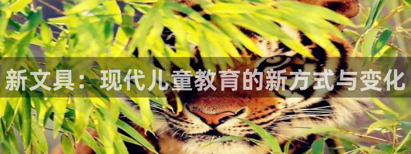 九游会游戏登陆：新文具：现代儿童教育的新