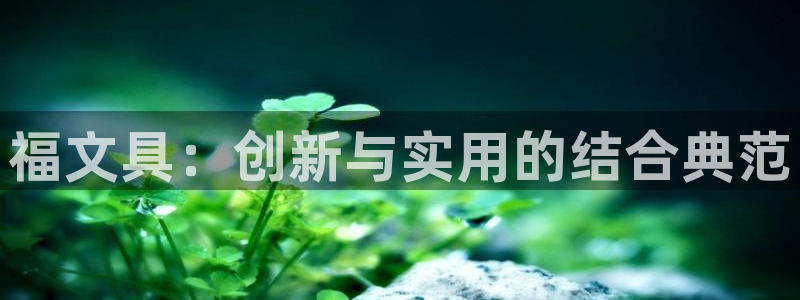 九游会j9娱乐官网：福文具：创新与实用的