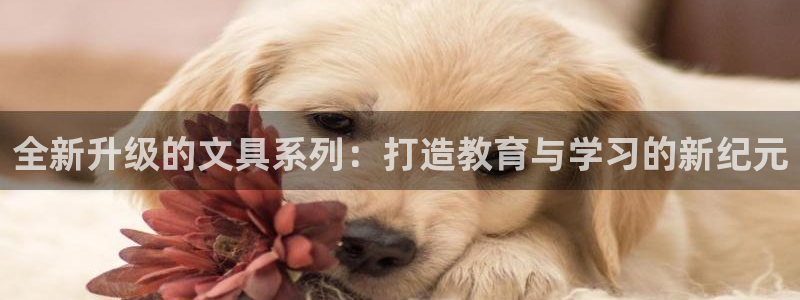 九游会盈盈：全新升级的文具系列：打造教育