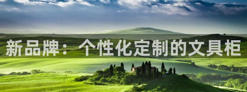 九游会登录地址：新品牌：个性化定制的文具