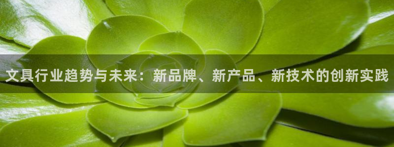 九游会官方大全：文具行业趋势与未来：新品