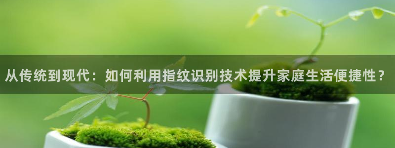 j9数字货币九游会备用：从传统到现代：如