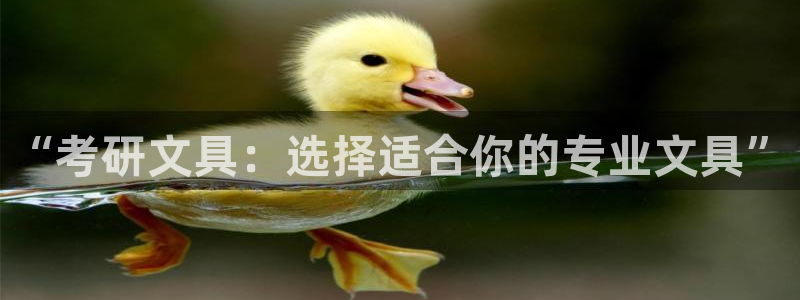 j9九游会最新网站：“考研文具：选择适合