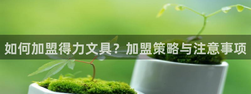 j9九游会登录入口：如何加盟得力文具？加