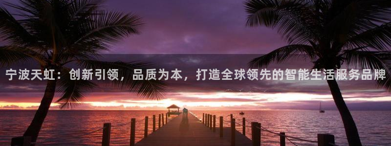 九游会买球：宁波天虹：创新引领，品质为本