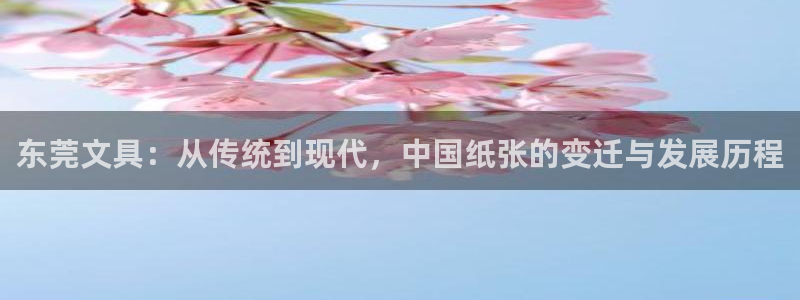 九游vip会过期吗：东莞文具：从传统到现