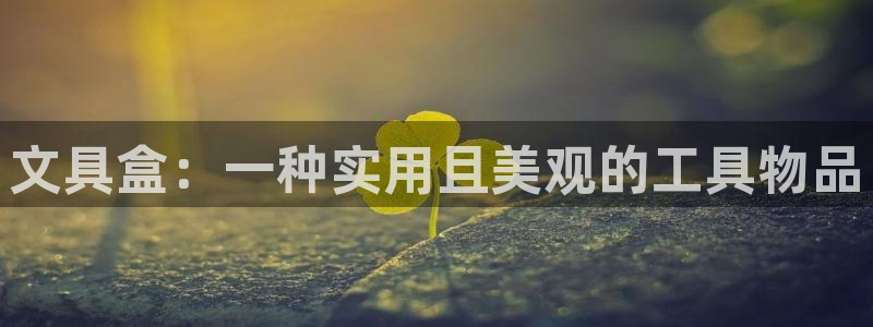 九游会j9论坛：文具盒：一种实用且美观的