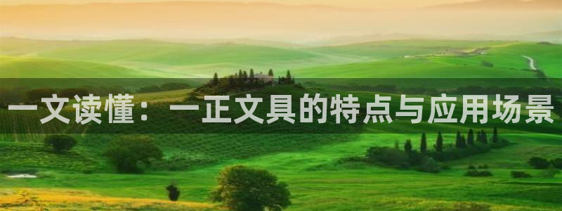 九游会网址多少：一文读懂：一正文具的特点