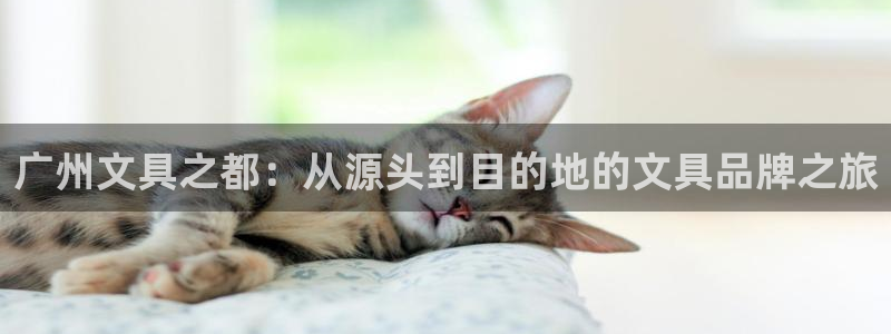 a九游会：广州文具之都：从源头到目的地的