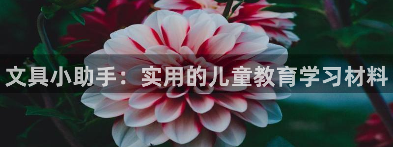 九游会电子：文具小助手：实用的儿童教育学