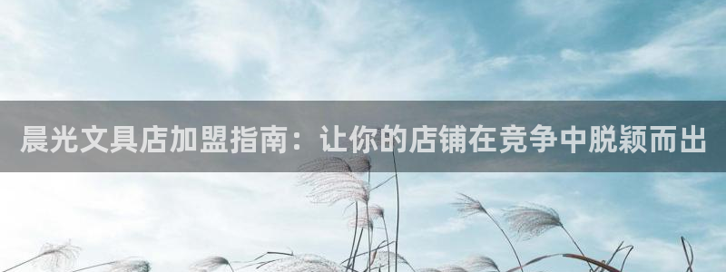 九游会平台入口：晨光文具店加盟指南：让你