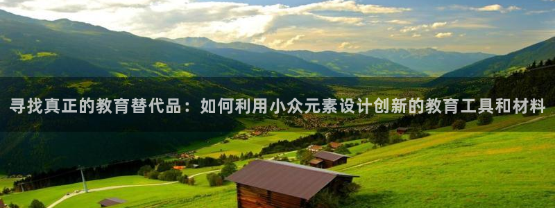 j9九游会公司：寻找真正的教育替代品：如