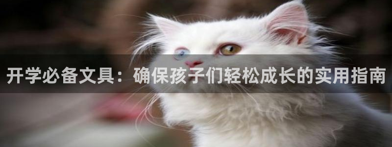 ag九游会入口：开学必备文具：确保孩子们