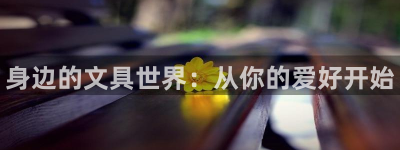 j9九游会一直打不开：身边的文具世界：从